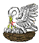[pelican]